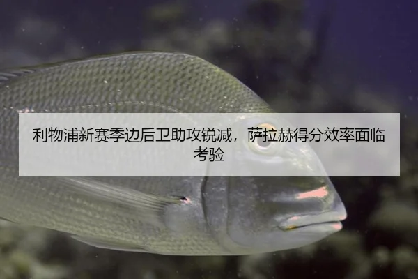 利物浦新赛季边后卫助攻锐减，萨拉赫得分效率面临考验